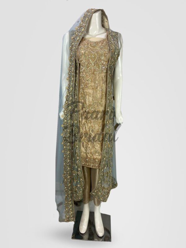 Feroza Horizon Oasis Party Wear Dress