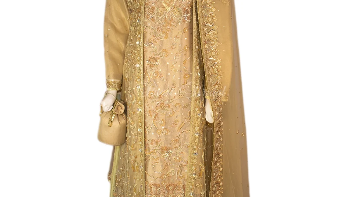 engagement party dresses pakistani Embellished Bridal Pakistani Engagement Dress Online 2021 CUSTOM SIZE
