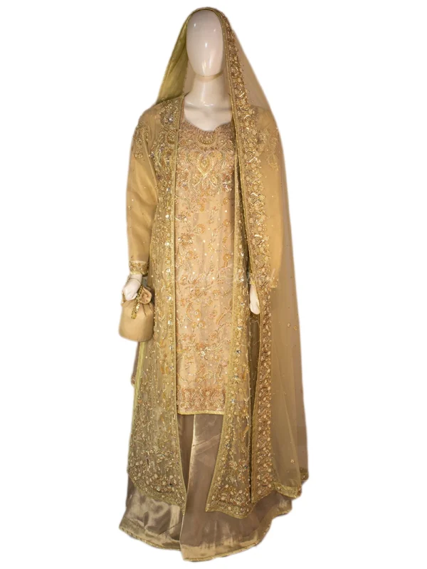 Pista Golden Gown with Dabka – Shine with Grace!
