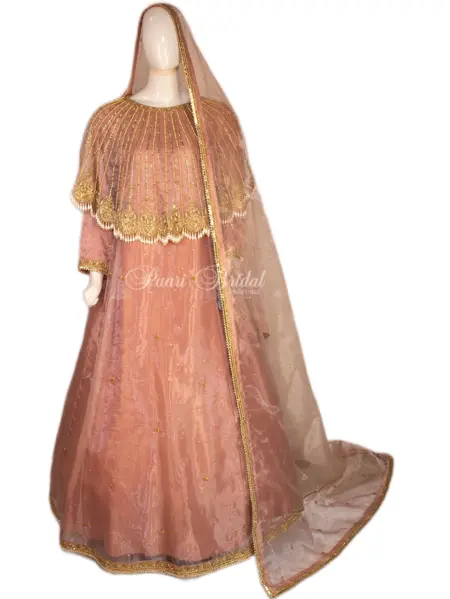 Elegant T Pink Organza Maxi with Sparkling Handwork